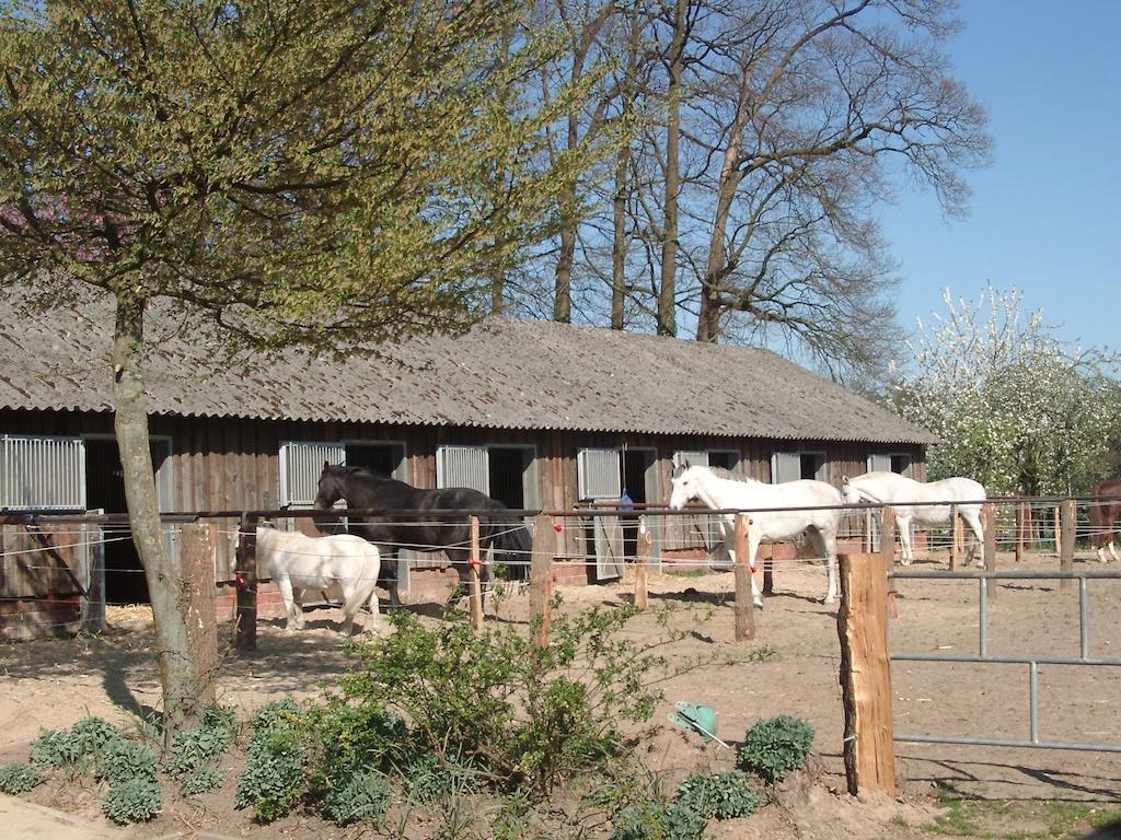 Villa Ferienhof Schmidt à Ankum Extérieur photo